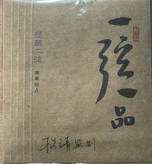 Yuehai Pipa String YXYP Performance Grade A Warm #2