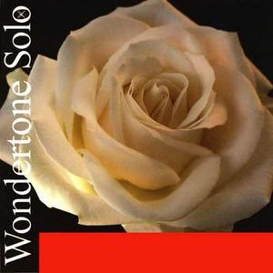 Pirastro Wondertone Solo Violin String G Silver Wound 4/4