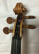 MarcoNolliViolin Hed